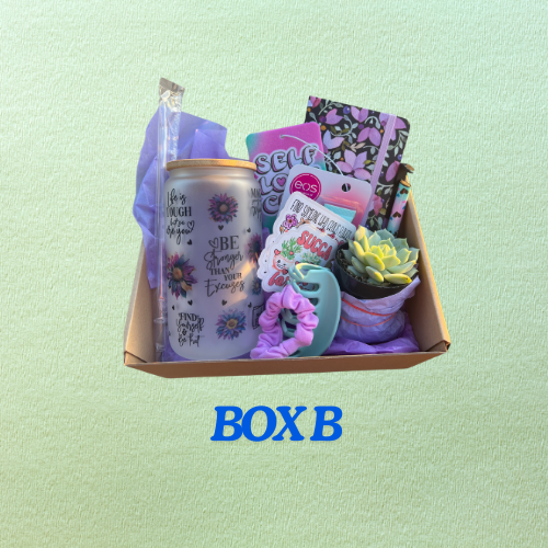 JUNE PLANT BOX