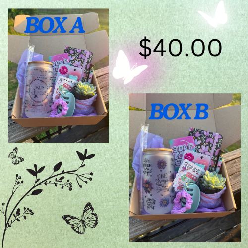 JUNE PLANT BOX